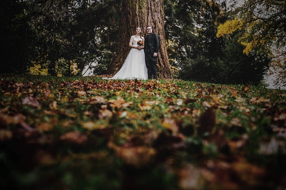 Brautpaar unter einem Baum im Herbstlaub – stimmungsvolles Hochzeitsfoto in der Natur von hochzytfotograf.com